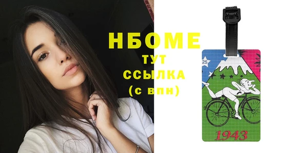 гидра Алексин